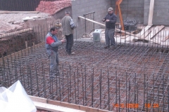 le_cactus_-_construction_-_302