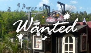 wanted_full